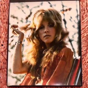 STEVIE NICKS Vintage 8X10 Framed Photo  Chevelle!
